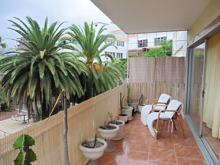 Balkon mit Blick in den Garten und 2 großen Palmen.
