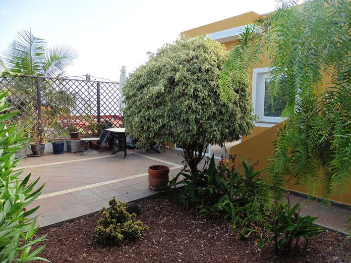 Hintere Terrasse und Garten