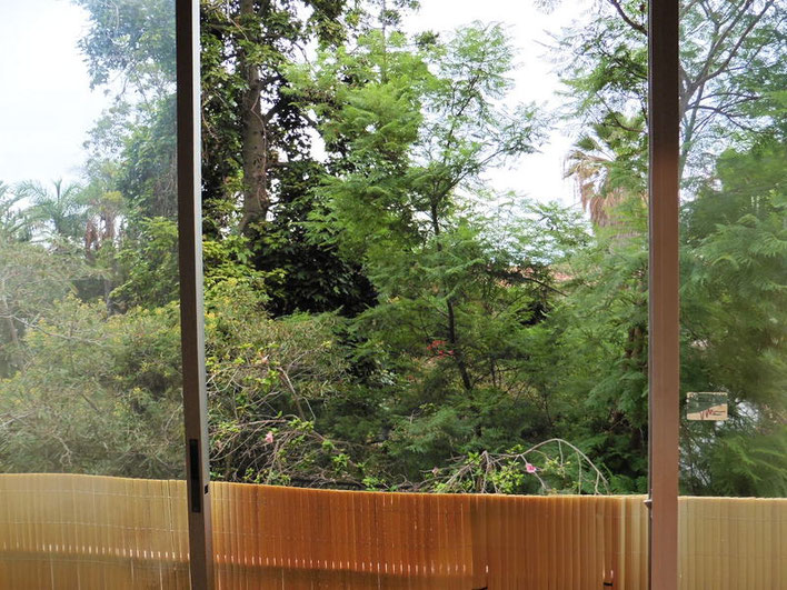 Ausblick