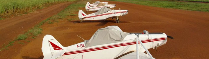 Flotte d'avions Pipper PA25 spécialisés dans le traitement aérien