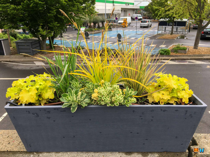 Rendu d'une jardinière de fleurs jaunes