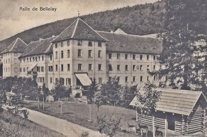 Pedro Meier – Robert Walser – Asile de Bellelay Pflege- und Heilanstalt, alte Postkarte (im Vordergrund rechts Hirsche) – hier in dieser Anstalt arbeitete Robert Walsers langjährige Freundin Frieda Mermet als Wäscherin. Archiv © Pedro Meier Art Niederbipp