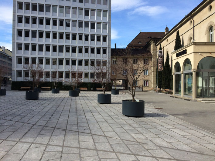 Ein paar gespendete Bäume in Kübeln auf einem versiegelten öffentlichen Platz. (Foto UGN)