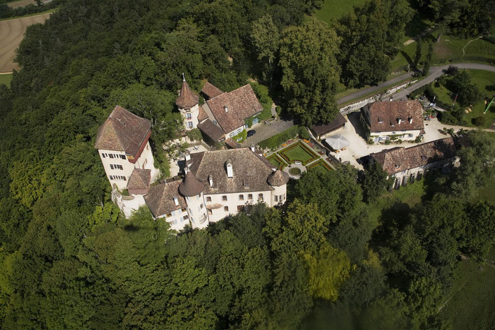 Die Impronauten Schloss Wildenstein