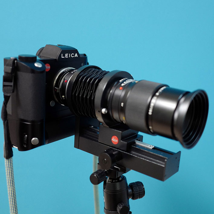 LeicaSL+Leica R Macro Lens Apo-Macro-Elmarit-R 100mm f2.8 アポ・マクロ・エルマリート R f2.8/100mm ASPH.