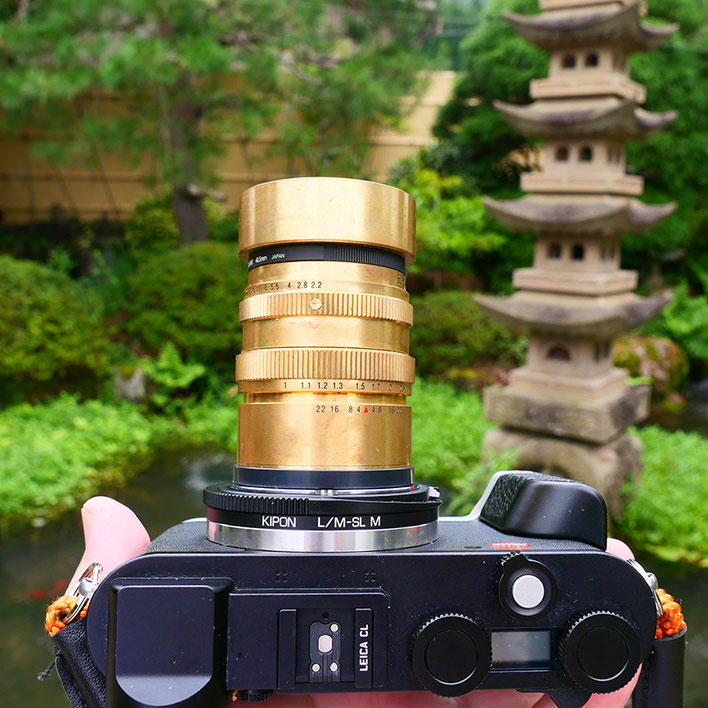 LeicaCL 日本のタンバール花影 バラ