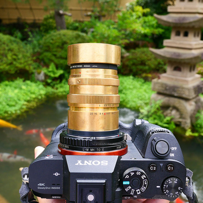 Sonyα７ii　日本のタンバール花影 バラ