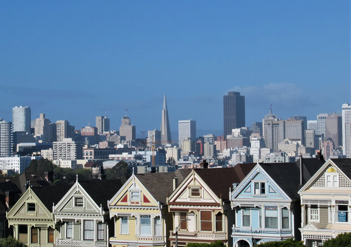 Painted Ladies