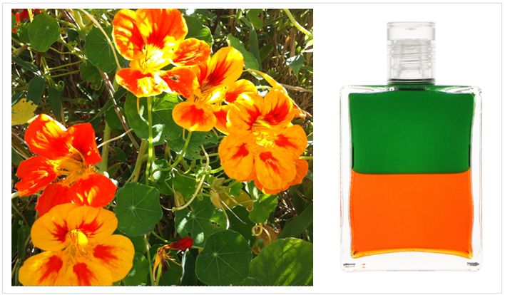 AURA-SOMA® - B82 GRÜN/ORANGE- CALYPSO