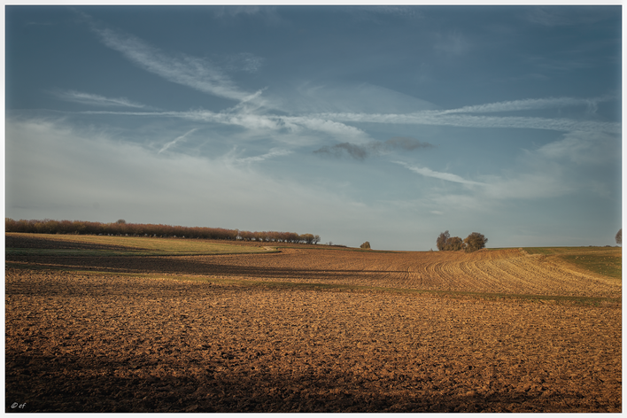Ein Blick auf die offene Landschaft