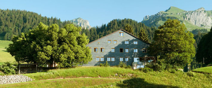 Ein Haus mit Steinfassade inmitten grüner Wiesen und Berge im nahen Hintergrund.