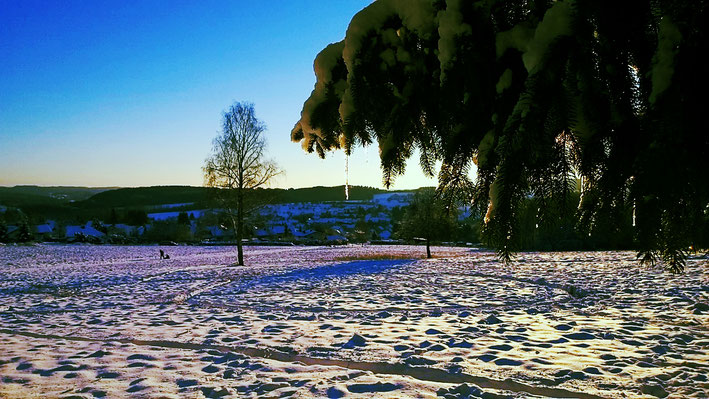 Eiszapfen im Sonnenuntergang