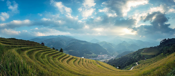 Paysage, rizière, montagnes