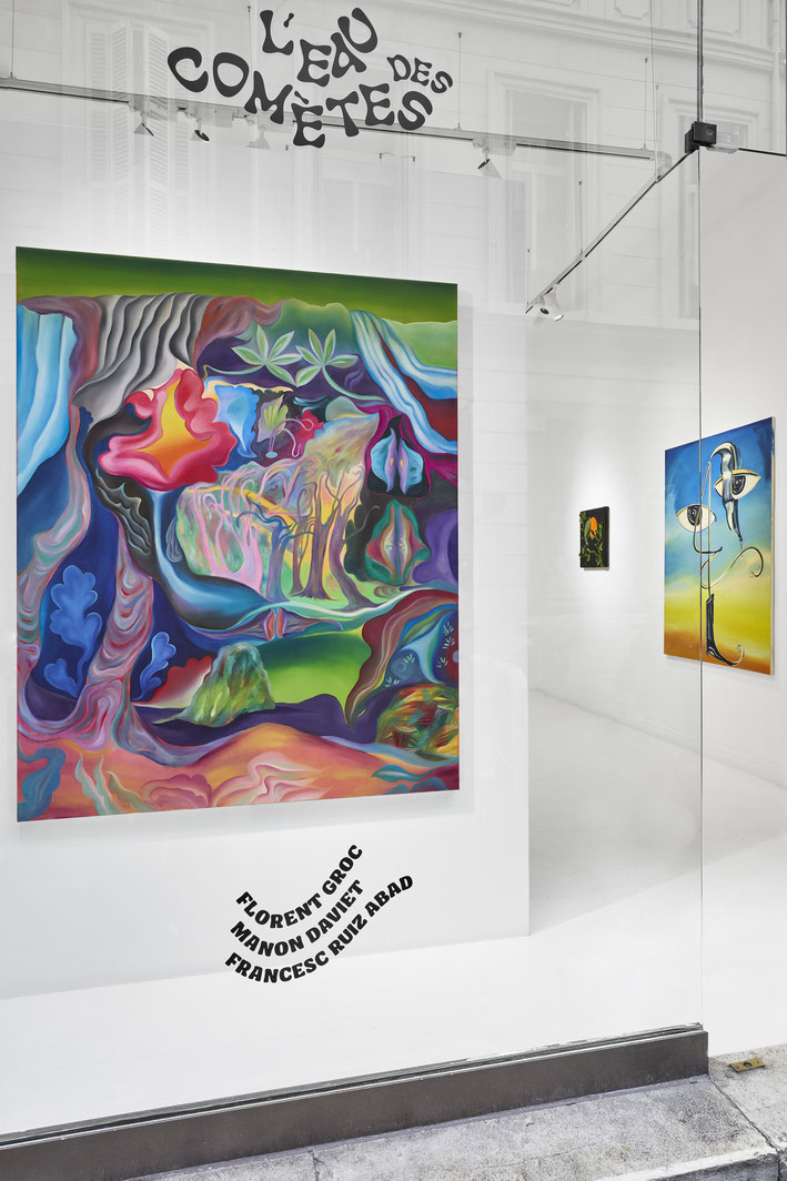 "L'eau des comètes", Florent groc, Manon Daviet, Francesc ruiz abad, Galerie Double V, Marseille © Jean-Christophe Lett