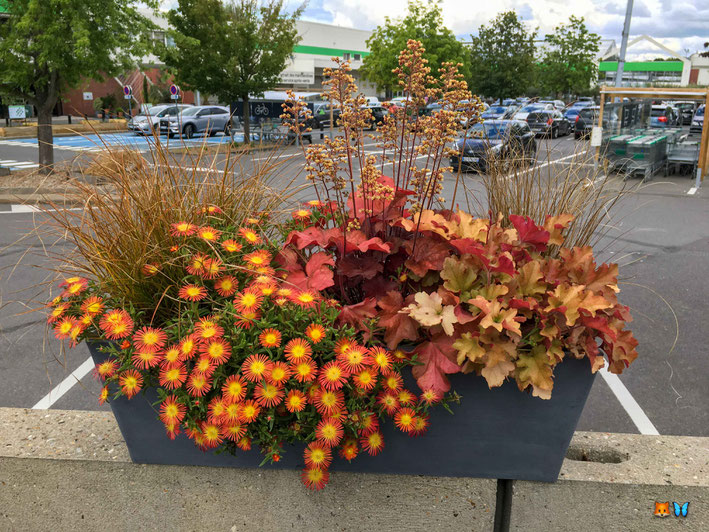 Rendu d'une jardinière de fleurs oranges