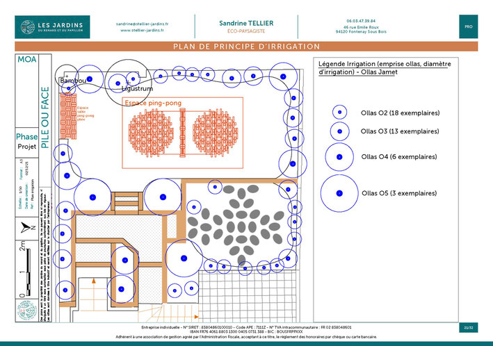 Exemple de plan d'utilisation des ollas pour l'irrigation d'un jardin