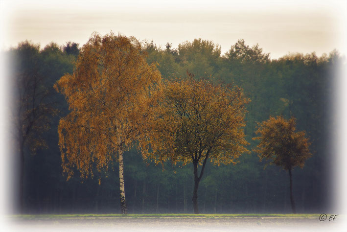 Herbst