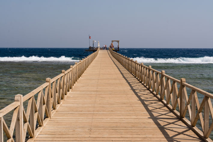                                                              Unser Urlaub in Ägypten/Marsa Alam im September 2016 ---- KLICK auf das Bild um mehr zu sehen