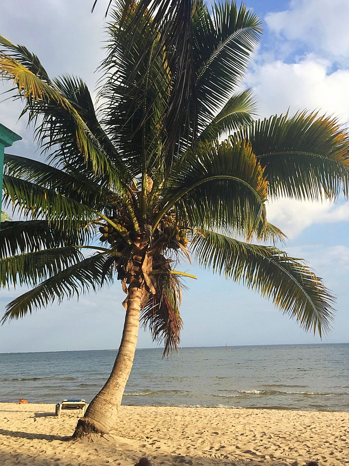 Playa larga dans la baie des cochons