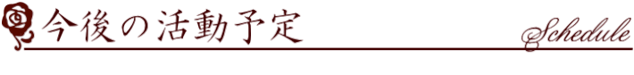 今後の活動予定