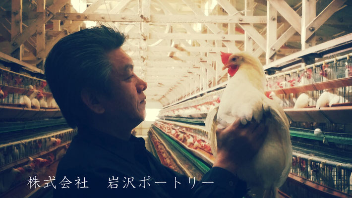 岩沢ポートリーで飼育している鶏の紹介 岩沢ポートリー