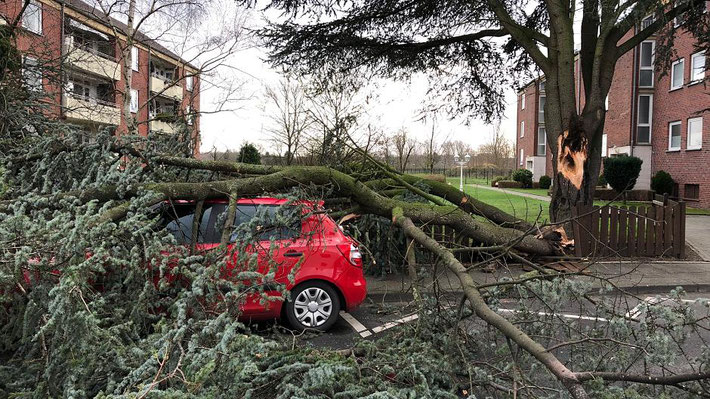 http://www.rp-online.de/nrw/panorama/sturm-friederike-bilder-der-orkan-schaeden-aus-nrw-vom-januar-2018-bid-1.7329317