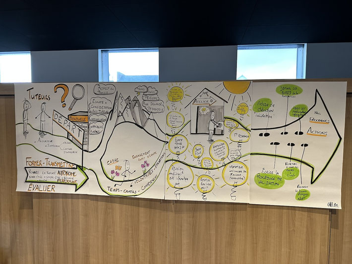 Fresque facilitation graphique Bonduelle - Vision du rôle de tuteur