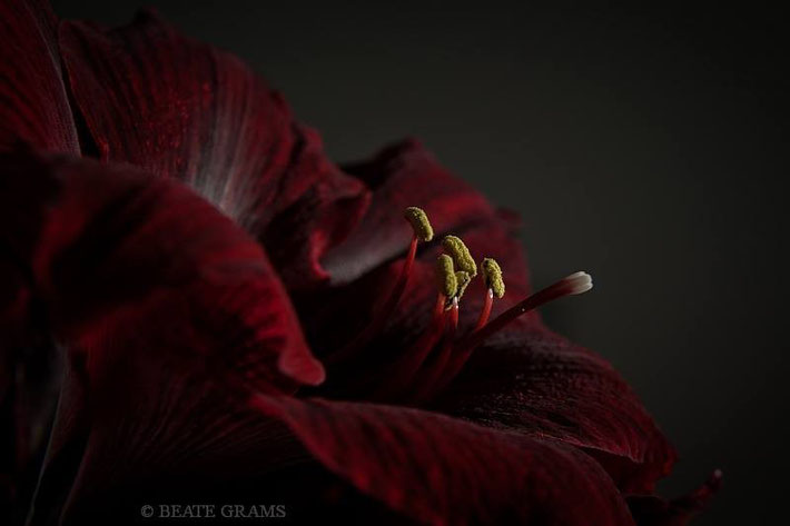 Kameradaten: Nikon D700; Blende: f8 Belichtungszeit:1/8s ISO: 400 Lichtwert: -2 Schritte