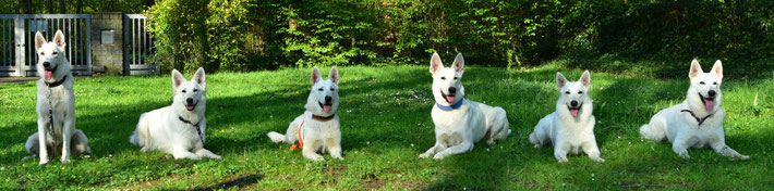 Ava Leotie - Aiyana Faye - Akira Batida - Anoki Takoda (Cody) - A love Milka - Anjo Milow