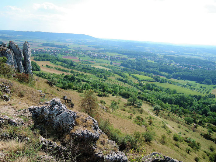 Ehrenbürg - a distinctive hill 40 kilometers south of Bamberg, which holds several rare breeders.