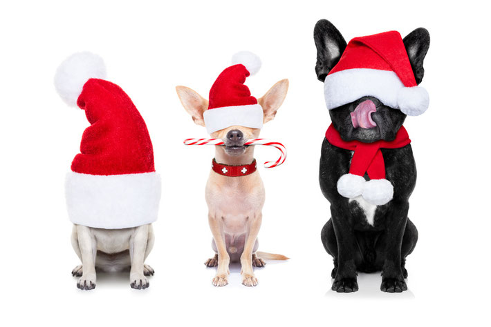 FUNI SMART ART grooved sich und Dich auf Weihnachten ein.