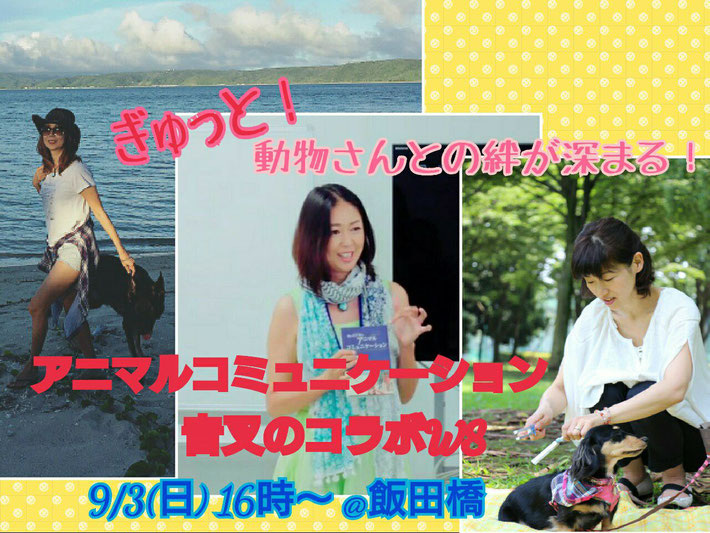 左と真ん中がミカさんです