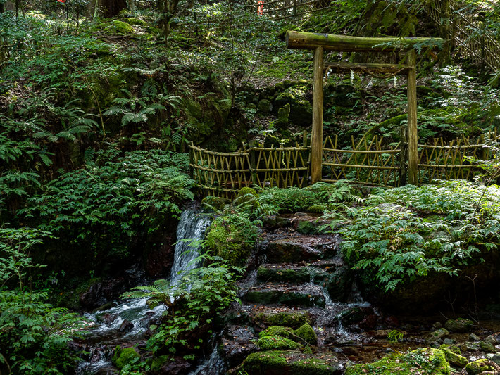 A torii gate indicates the spring is a sacred site.