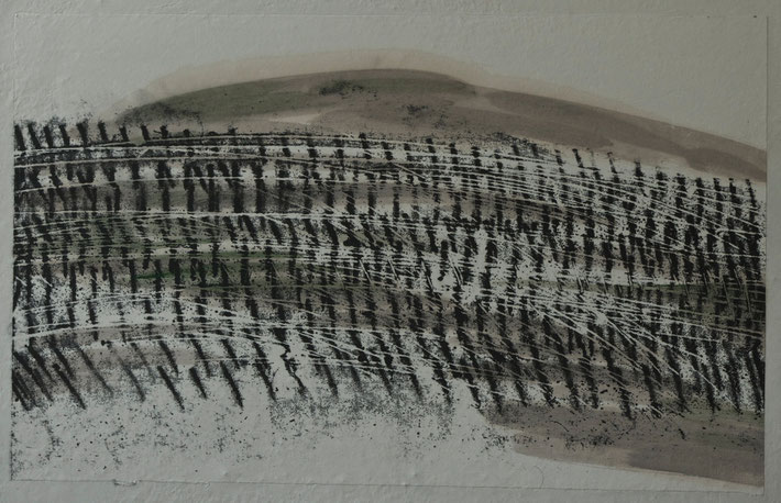 winter  vineyard   2013    monotype  print  /   brou  de  noix   chinese  ink  on  rice  paper     50  x  32  cm