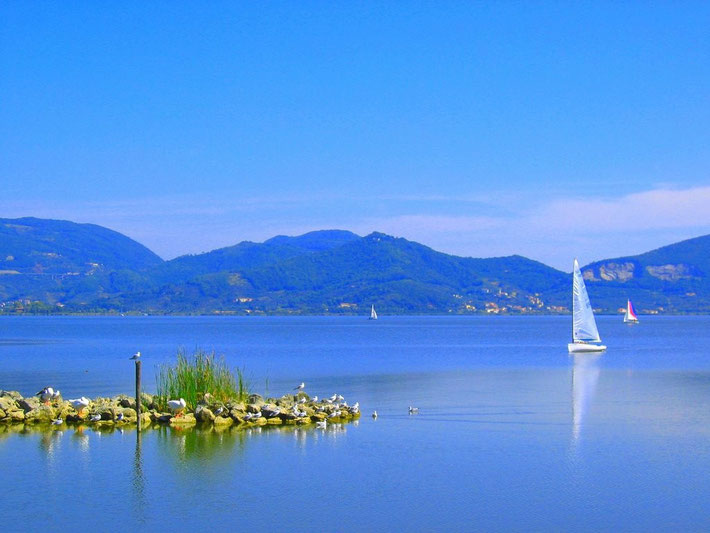 Lago Massacciuccoli