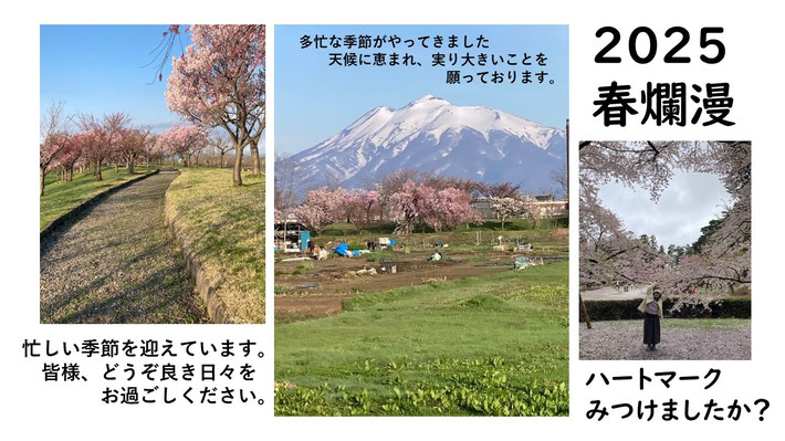 mate-clinic-hirosaki ページ！
