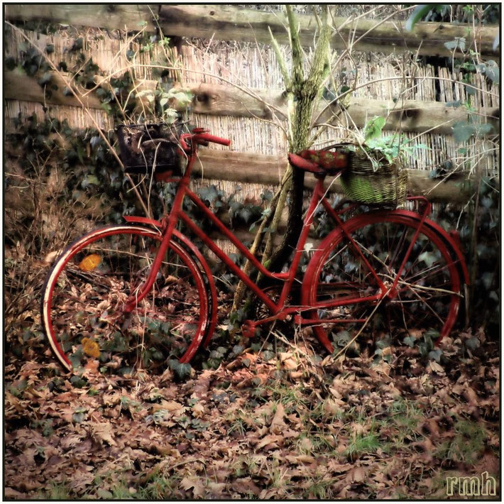 painted old bike