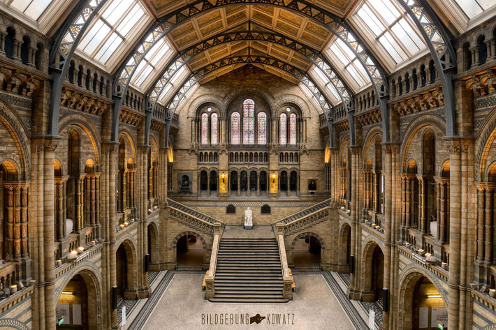 London, Natural History Museum