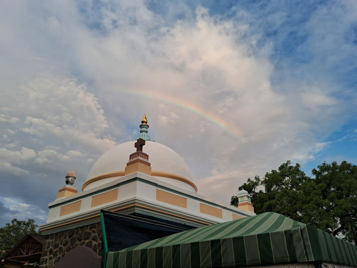 20th June 2024. Photo taken by Simon Reece