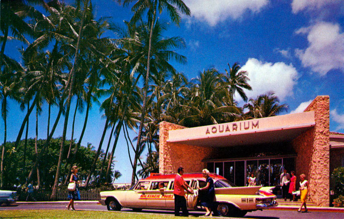 1961