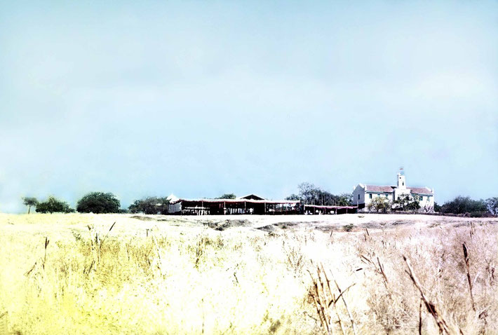 1975 Amatithi ; photo taken by Anthony Zois