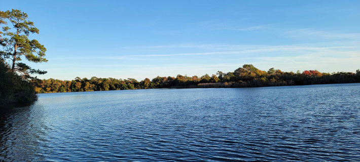 Fall - November 2025 - Long Lake. Photo taken by Anthony Zois.