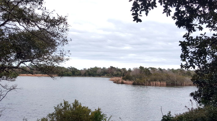 Winter - Jan. 2021 - Long Lake. Photo taken by Anthony Zois.