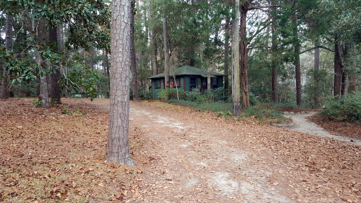 Jan. 2021. Paths leading to the Lagoon Cabin. Photo taken by Anthony Zois