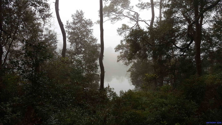 2017 : Winter's day view of Long Lake at Dilruba. Photo taken by Anthony Zois