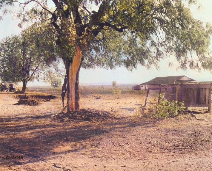 Mid-1920s : Meherabad, India. Image rendition by Anthony Zois.