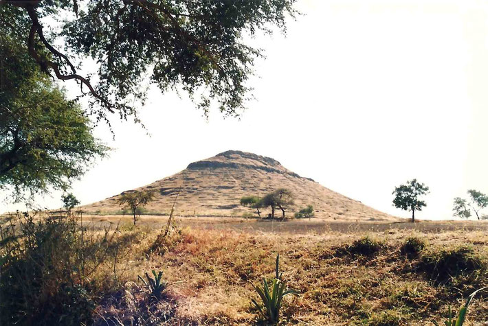 1988 Seclusion Hill - Photo ; Anthony Zois