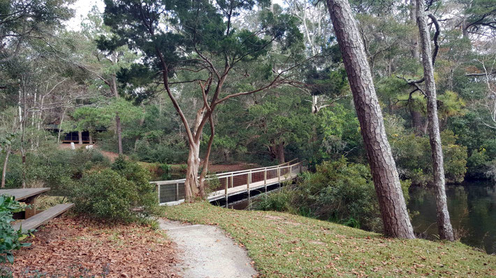Jan. 2021 : Path to the bridge. Photo Taken by Anthony Zois.