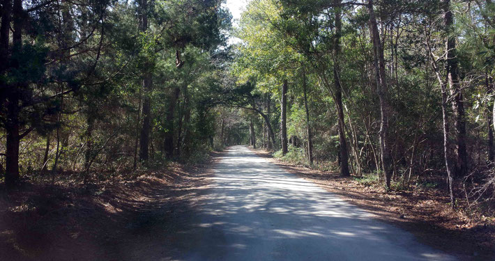 2015 ; Road into the Center from the Gateway. Photo taken by Anthony Zois
