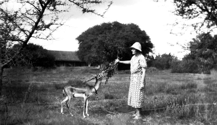 Late 1930s, India ; Courtesy of MN Collection